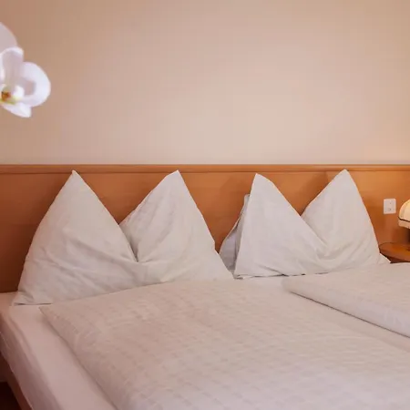 & Spa Cacciatori 4* Cademario